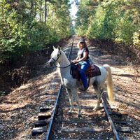 Jennifer with black horse